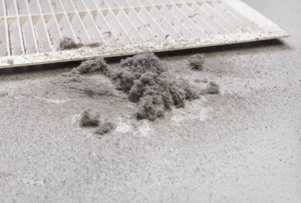 Best Affordable HVAC Duct Cleaning  in Prairie Grove, IL